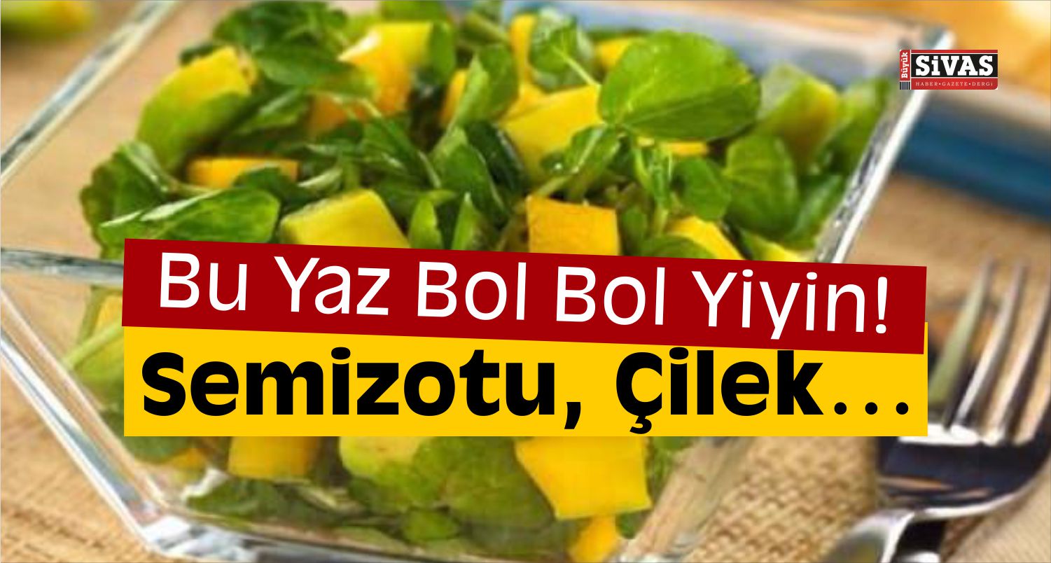 yaz mevsiminde yenmesi gerekenler