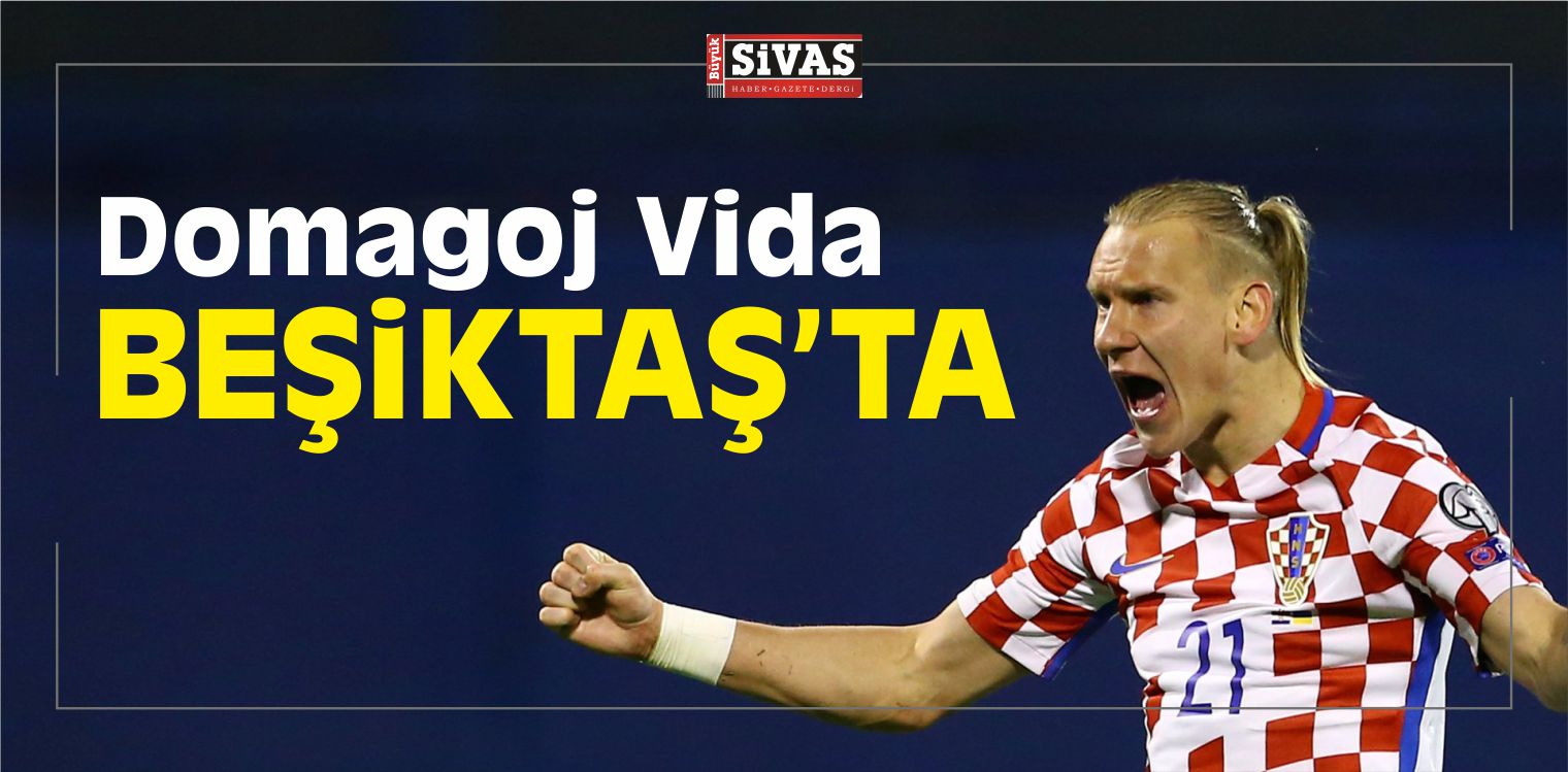 Domagoj Vida