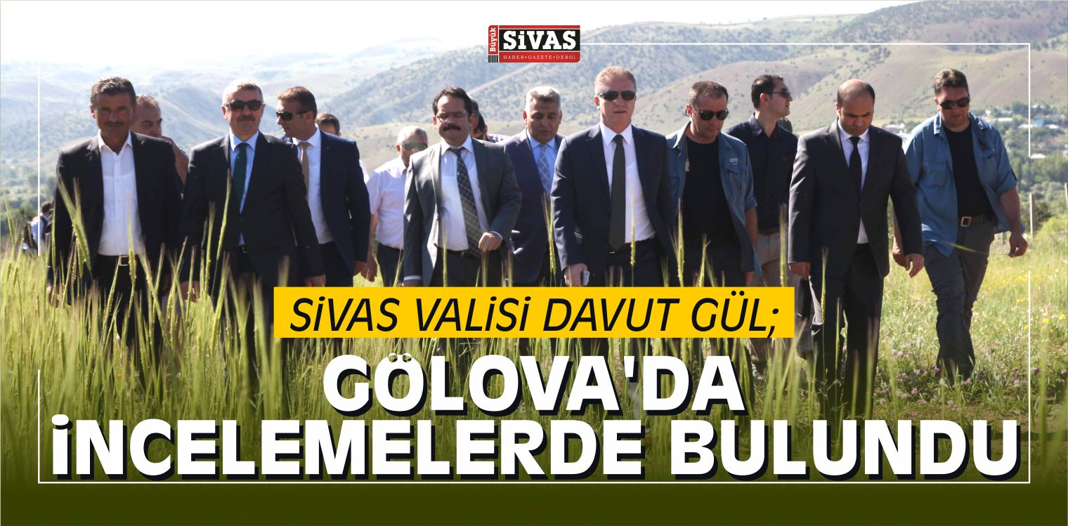 Vali Davut Gül Gölova’da İncelemelerde Bulundu