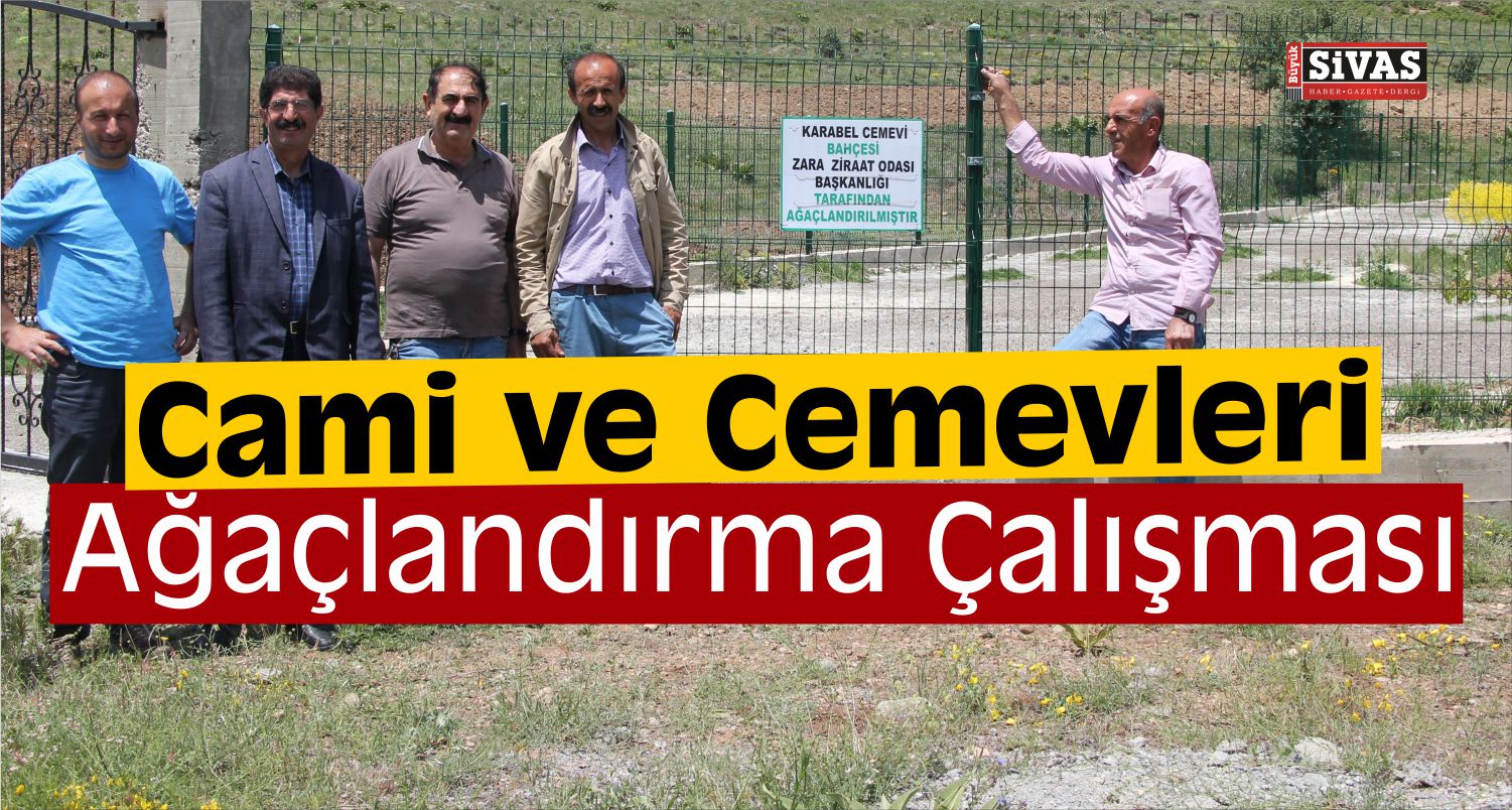 cami ağaçlandırma