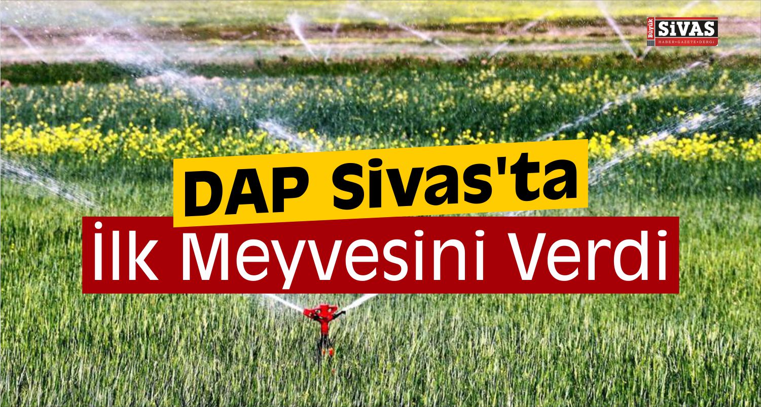 DAP Sivas’ta İlk Meyvesini Verdi