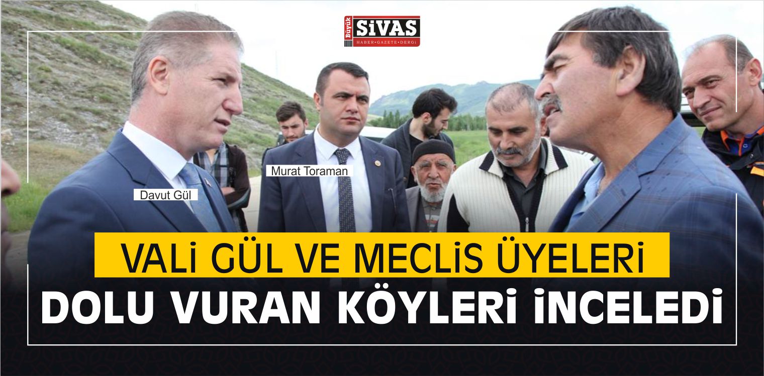 Vali Gül ve Meclis Üyeleri Dolu Vuran Köyleri İnceledi
