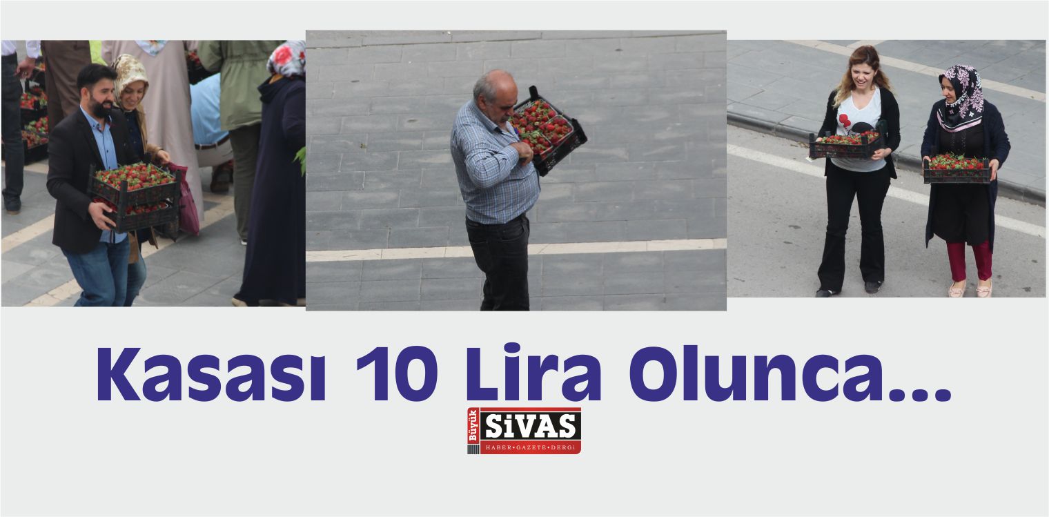 Ucuz Çilek İçin Birbirleriyle Yarıştılar