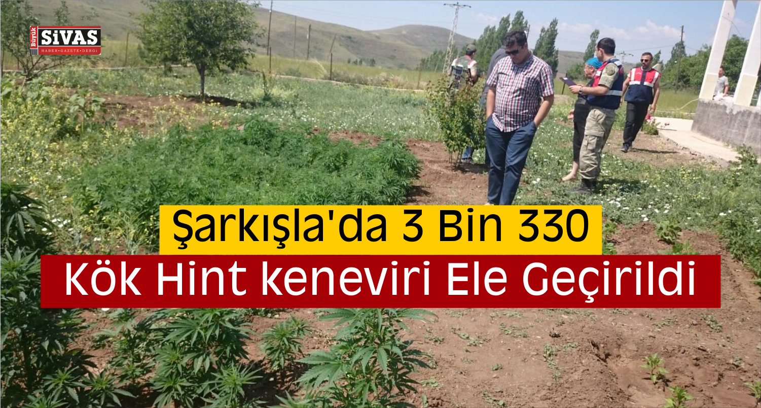 Şarkışla’da Uyuşturucu Operasyonu