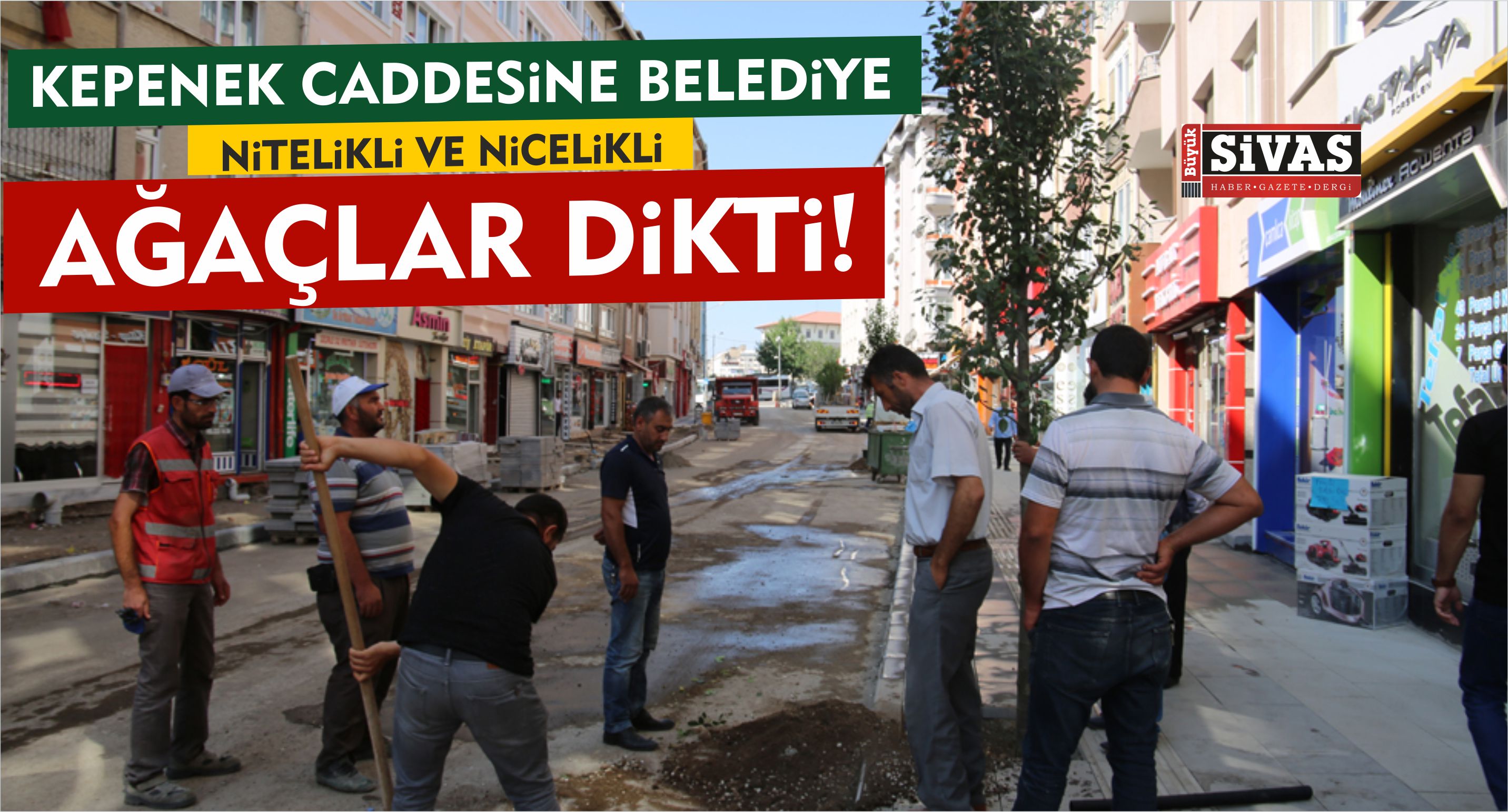 Belediye Kepenek Caddesine Yeni Ağaçlar Dikti