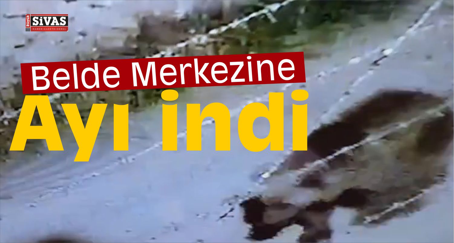Belde Merkezine İnen Ayı Güvenlik Kamerasında
