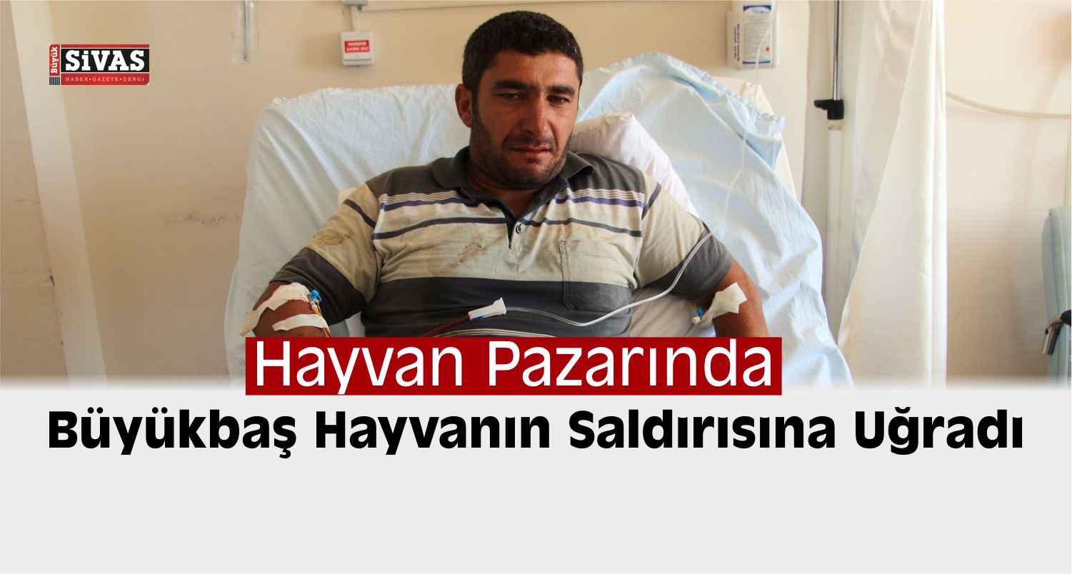Hayvan Saldırısına Uğrayan Kişi Yaralandı