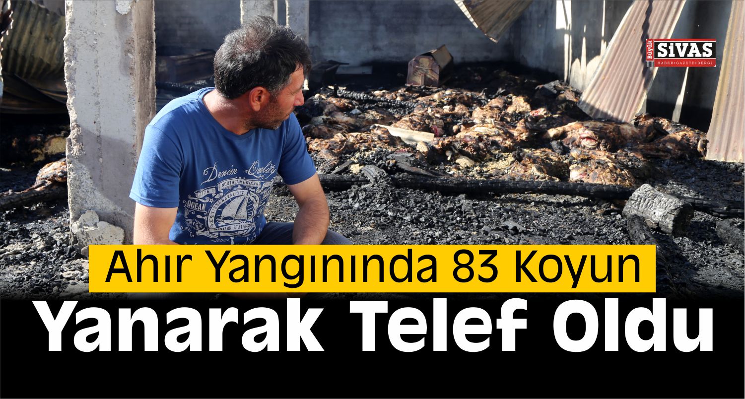 Sivas’ta 83 Koyun Yanarak Telef Oldu