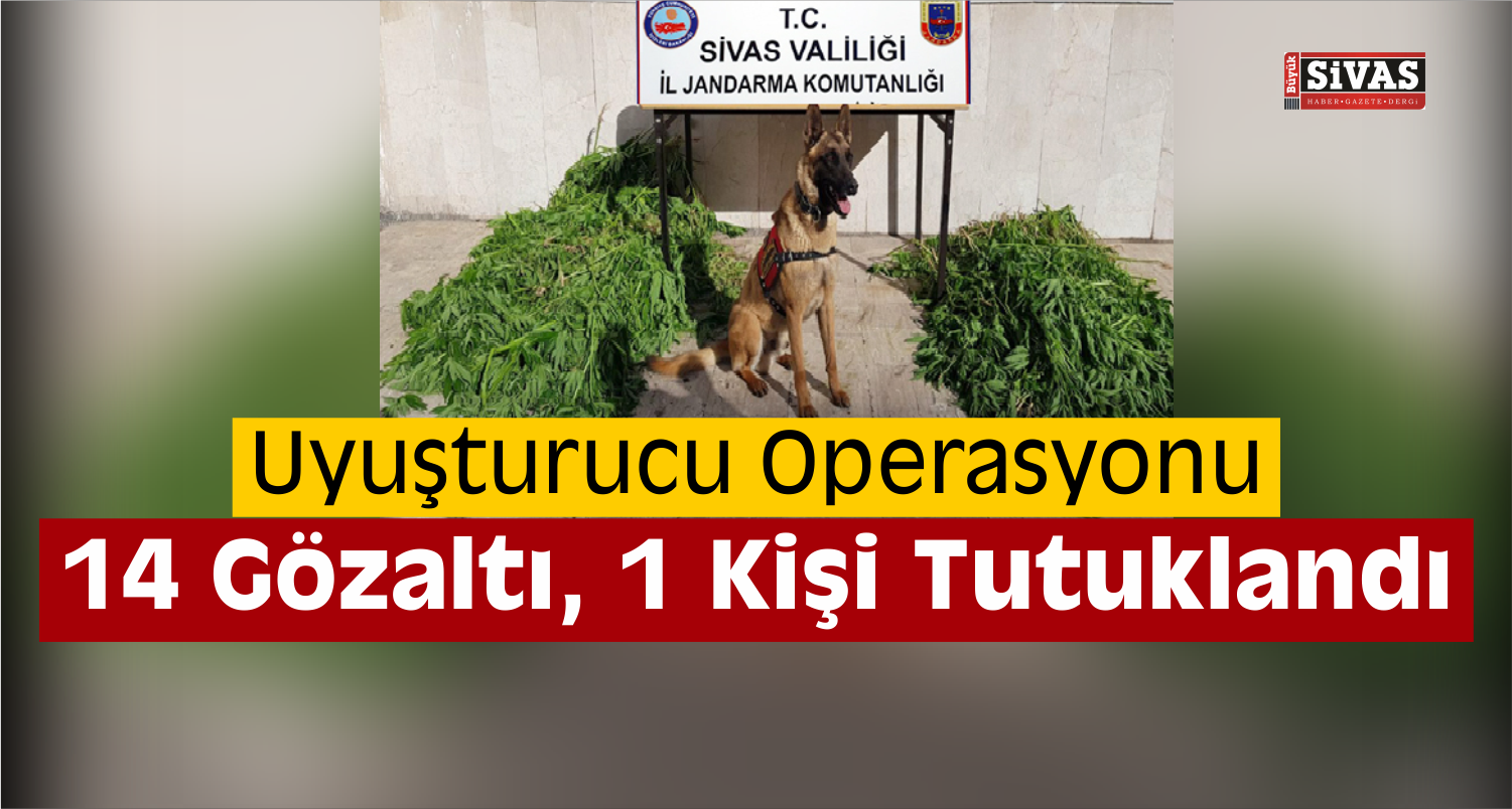 Sivas’ta Uyuşturucu Operasyonları