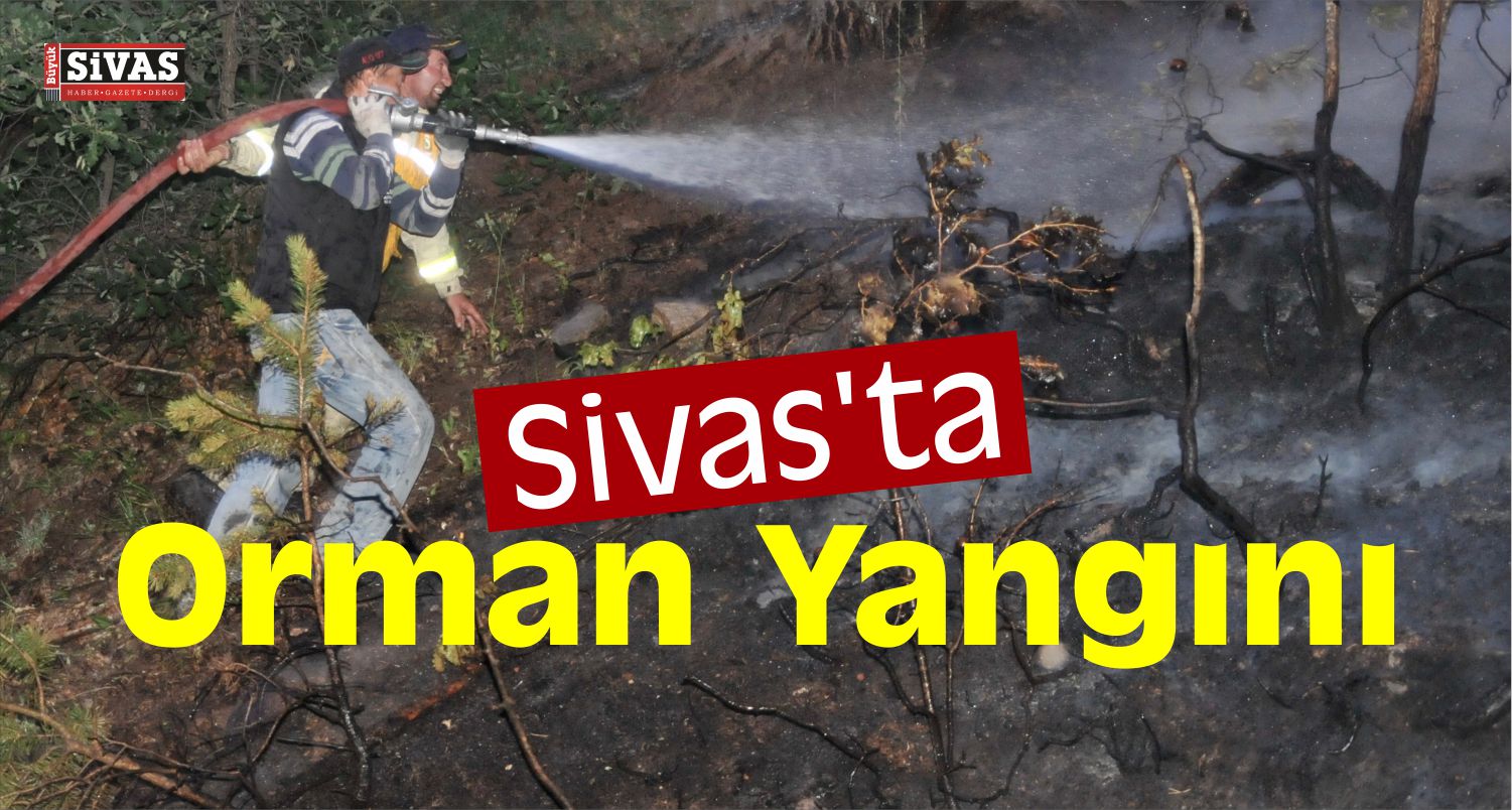 Sivas’ta Orman Yangını