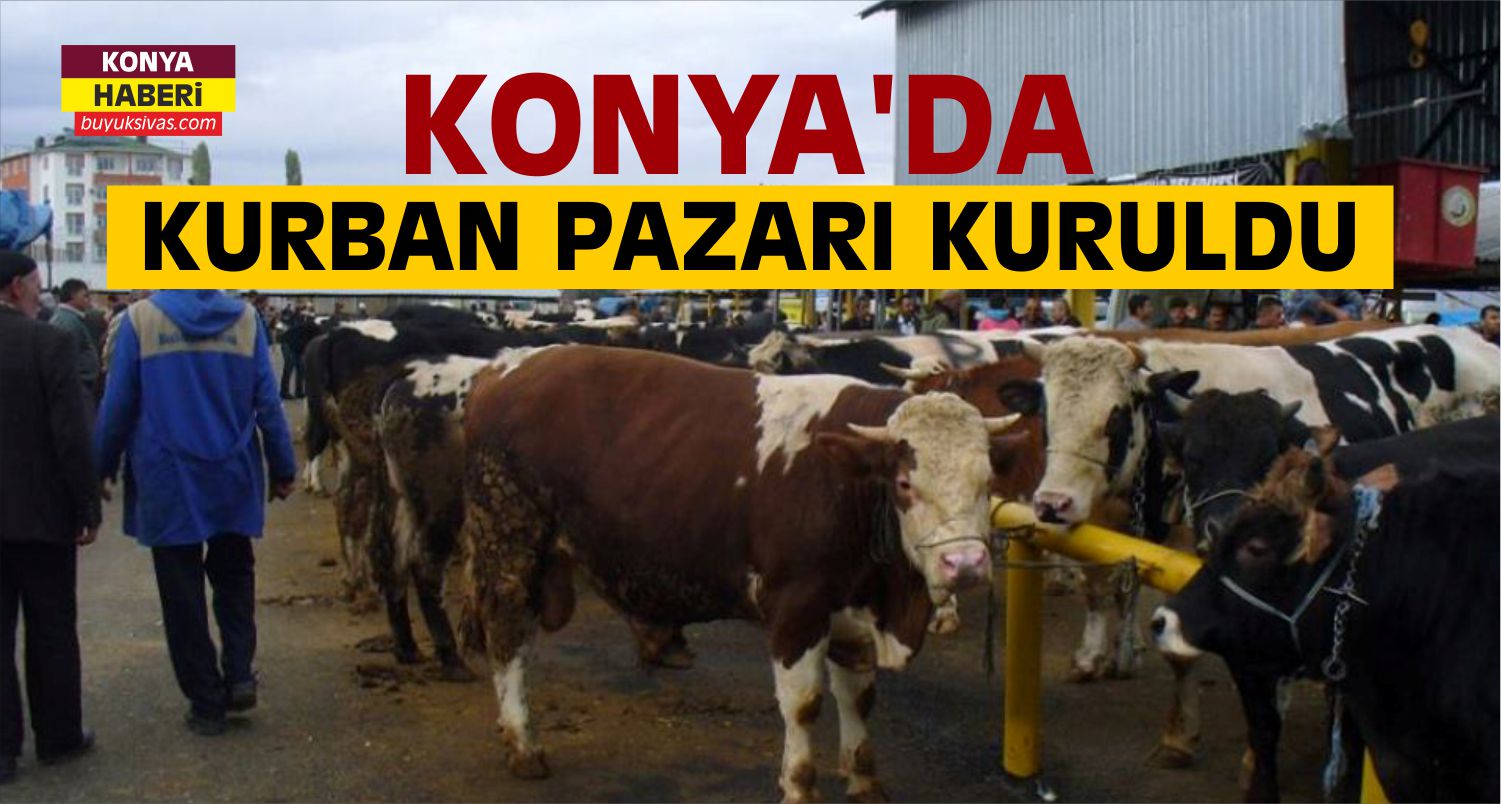 Konya’da Kurban Pazarı Kuruldu