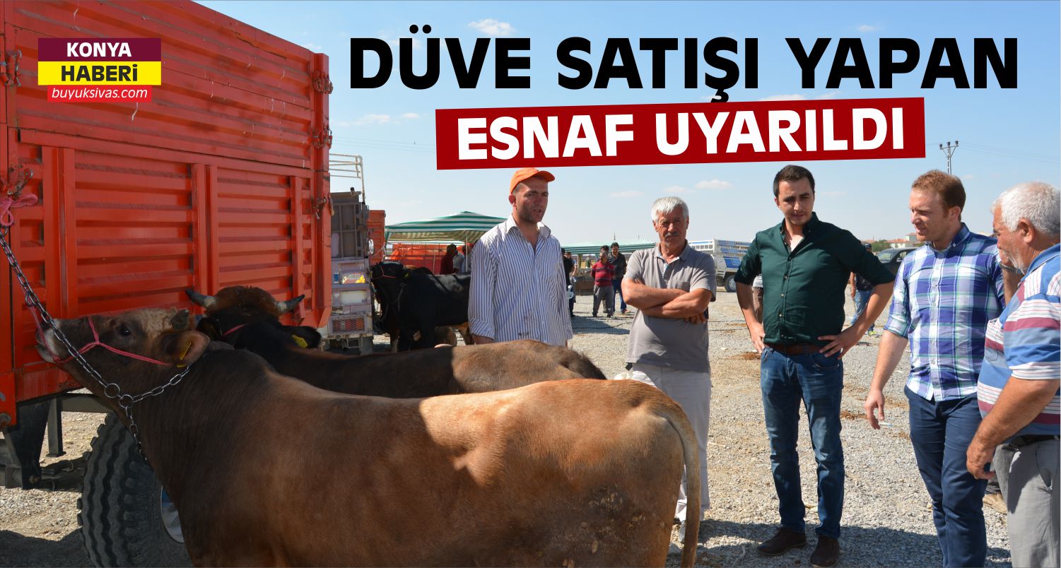 Konya’da Kurbanlık Pazarında Düve Denetimi