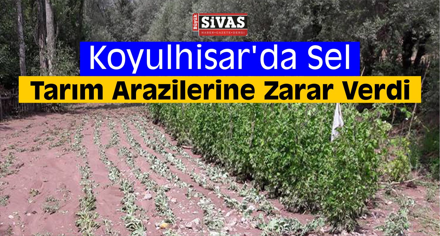 Koyulhisar'da Sel Ekili Alanlara Zarar Verdi