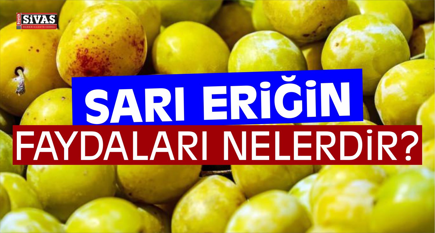 Sarı Eriğin Faydaları Nelerdir