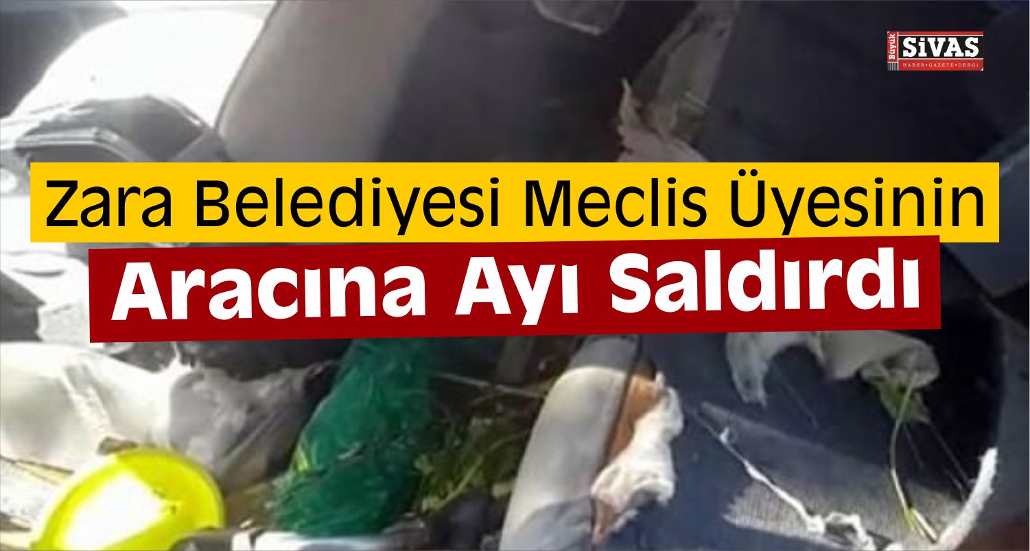 Sivas’ta Ayı Araca Saldırdı