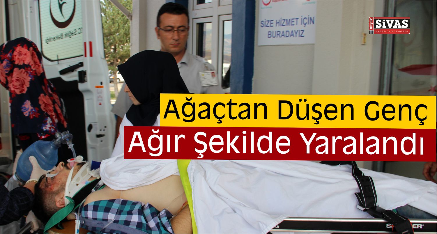 Sivas’ta Ağaçtan Düşen Genç Yaralandı
