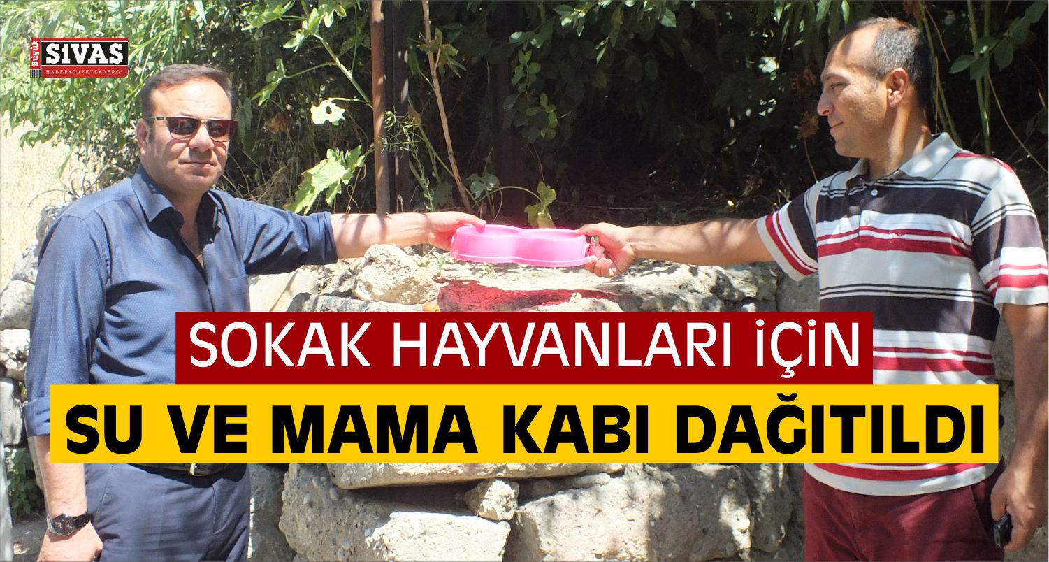 Sokak Hayvanları İçin Su ve Mama Kabı
