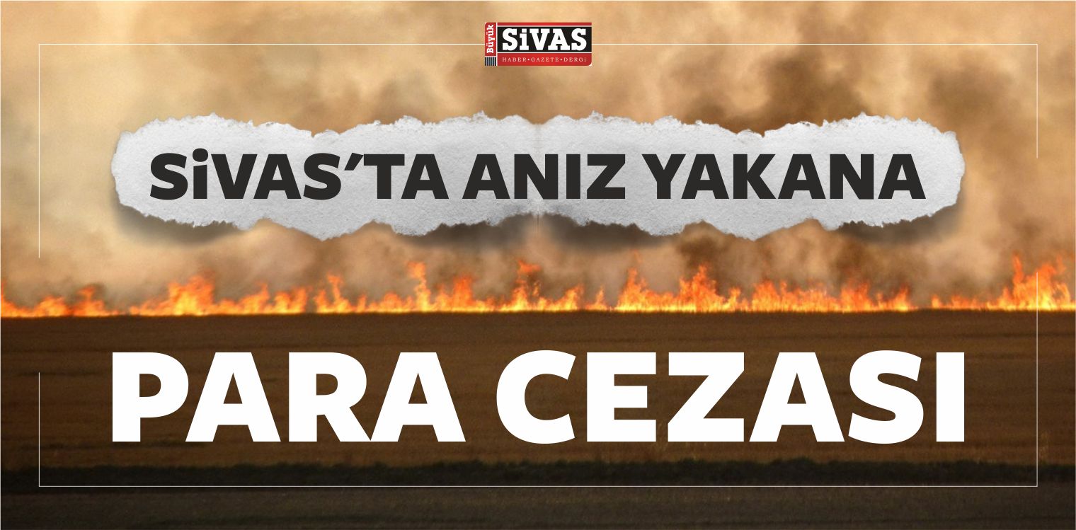 Para Cezası