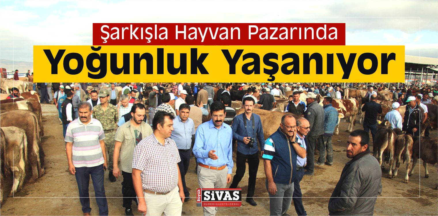 Hayvan Pazarında Yoğunluk