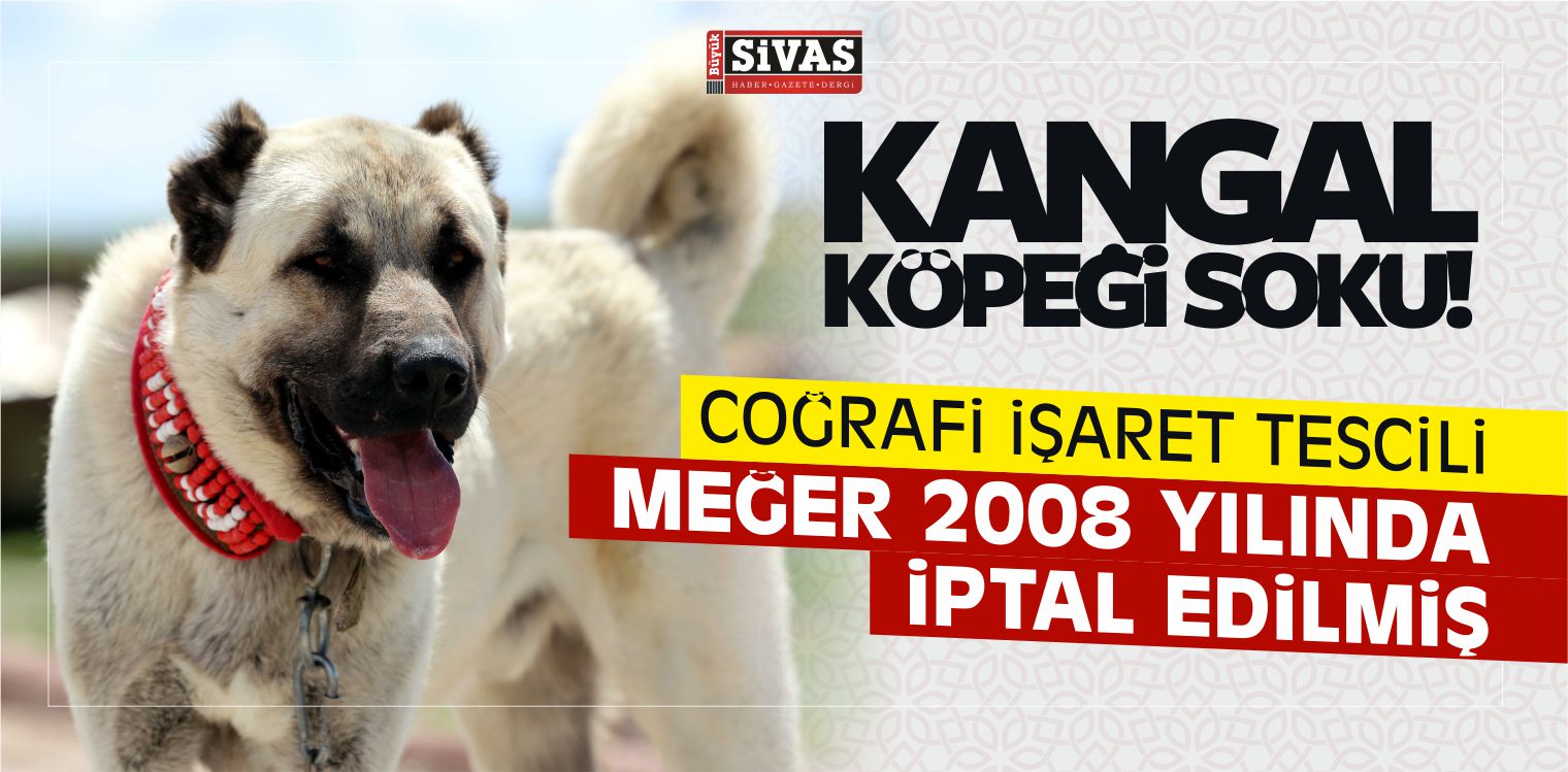 Kangal Köpeği’nin Tescili 2008 Yılında İptal Edilmiş!