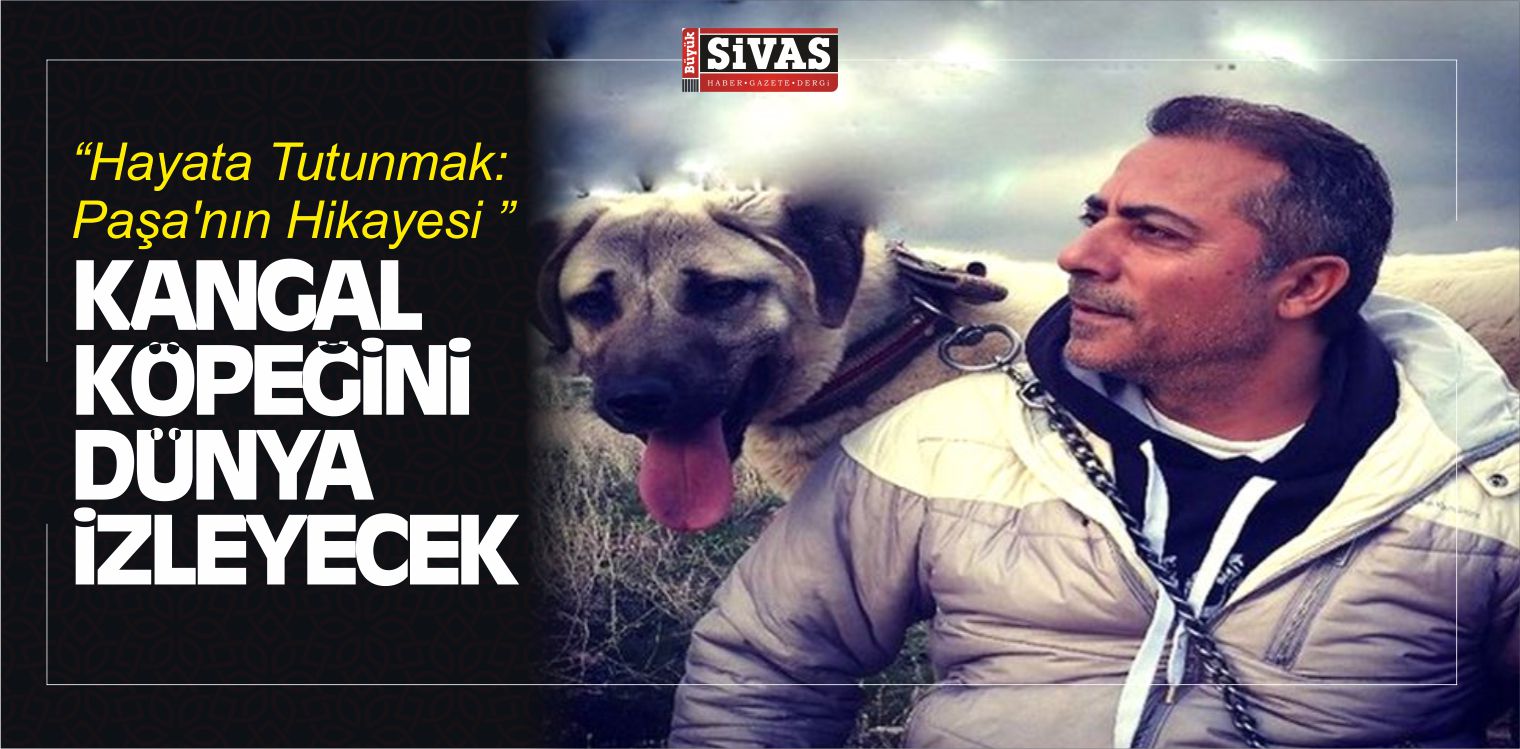 Paşa'nın Hikayesi