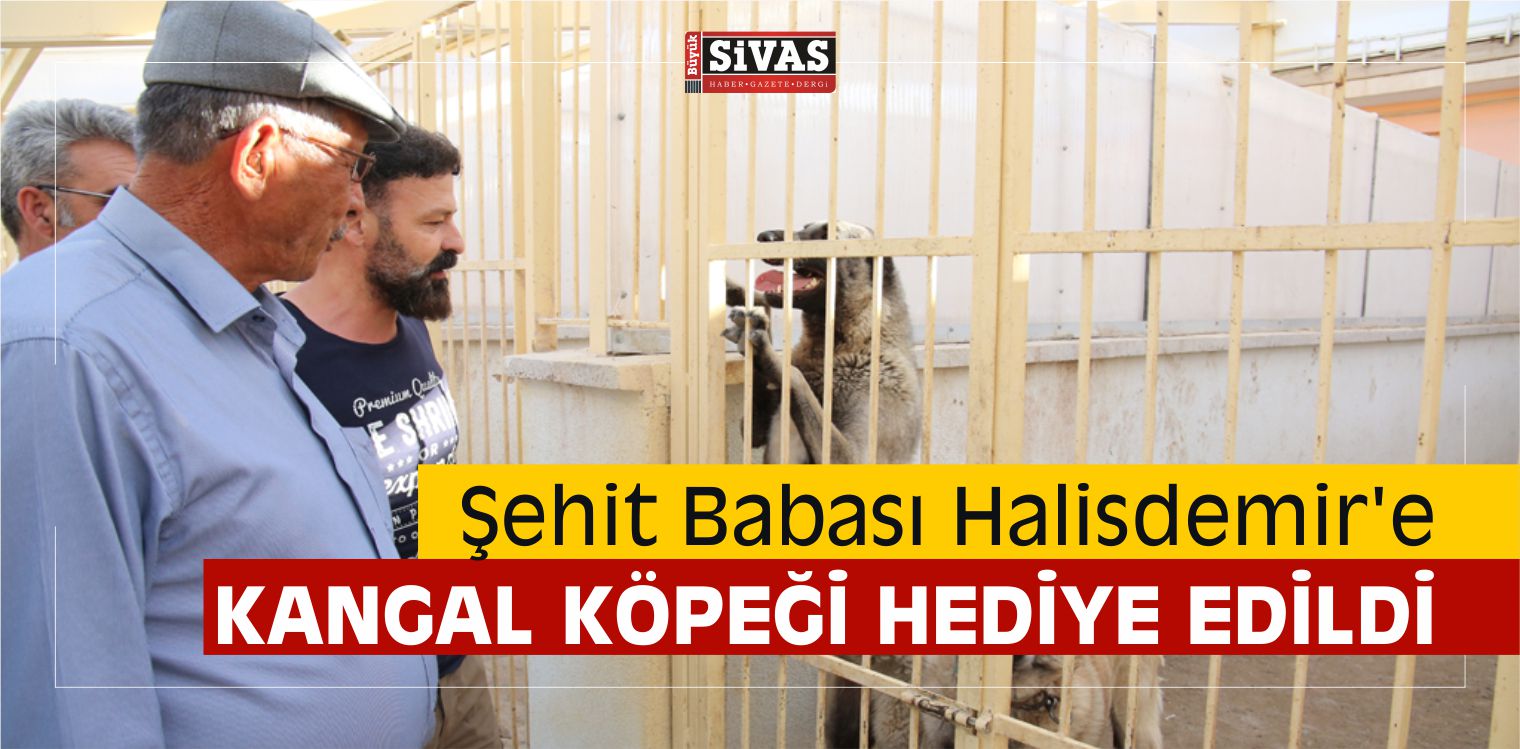 Şehit Babası Halisdemir’e Kangal Köpeği Hediye Edildi