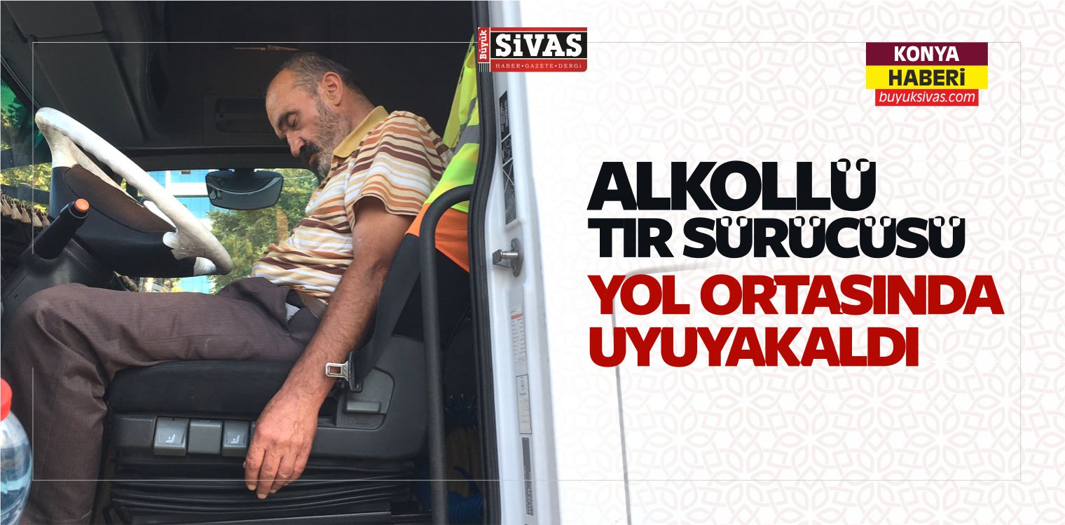 Alkollü Tır Sürücüsü