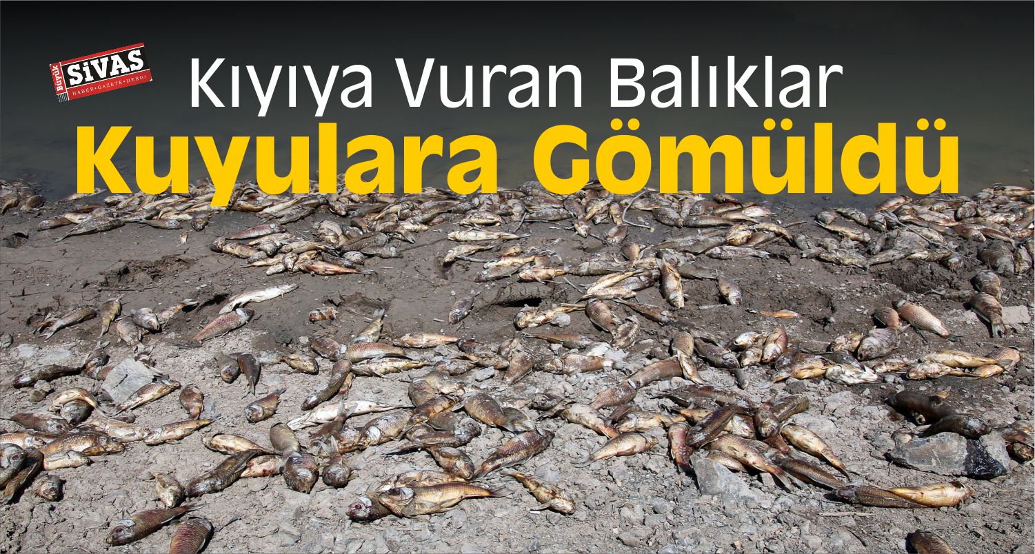 Sivas’taki Balık Ölümleri