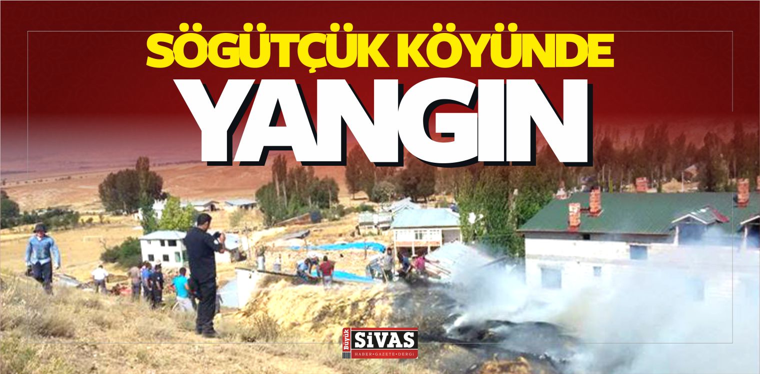 Söğütçük Köyünde Yangın Çıktı