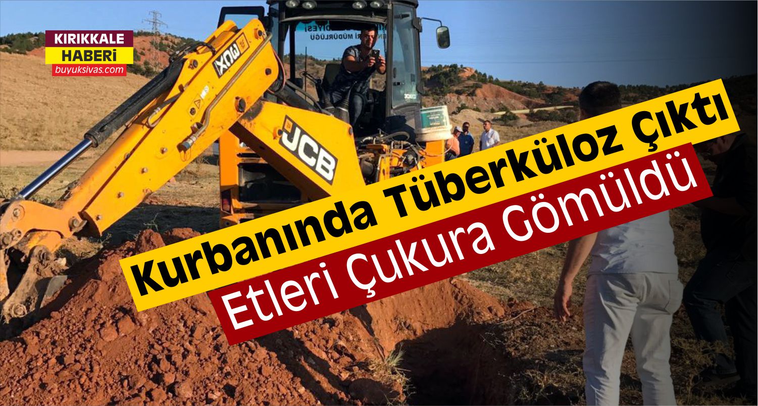 Kırıkkale’de Tüberküloz Çıkan Kurbanın Etleri İmha Edildi