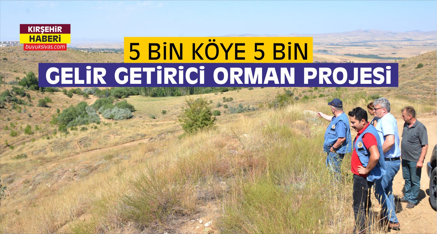 Kırşehir'de Köyler Orman Gelirine Kavuşuyor