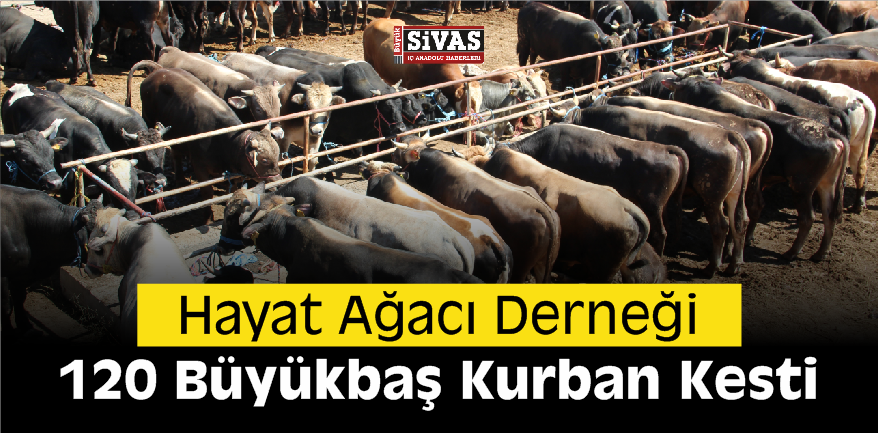 Hayat Ağacı Derneği 120 Büyükbaş Kurban Kesti