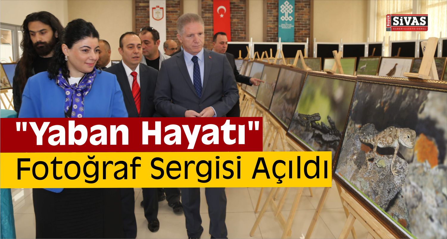 Dünya Hayvanları Koruma Günü