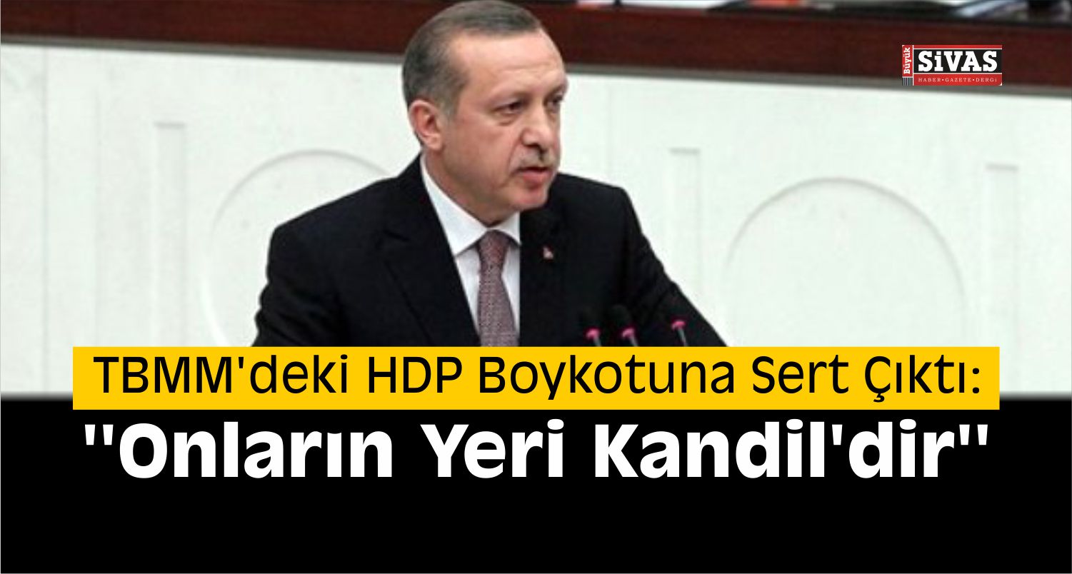 Erdoğan'dan HDP Sorusuna Kapak Gibi Cevap