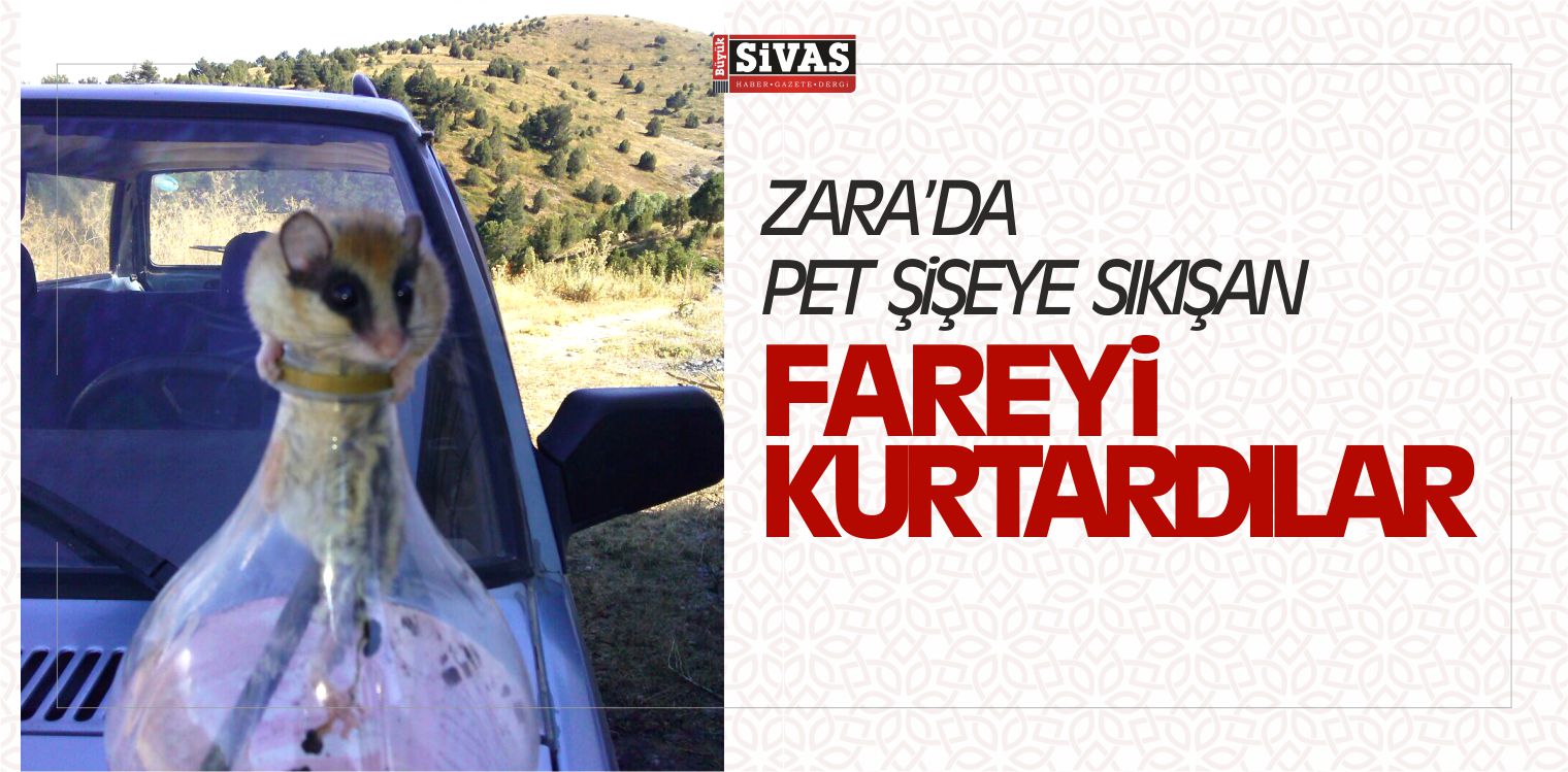 Pet Şişeye Sıkışan Fareyi Kurtarıp Doğaya Bıraktı