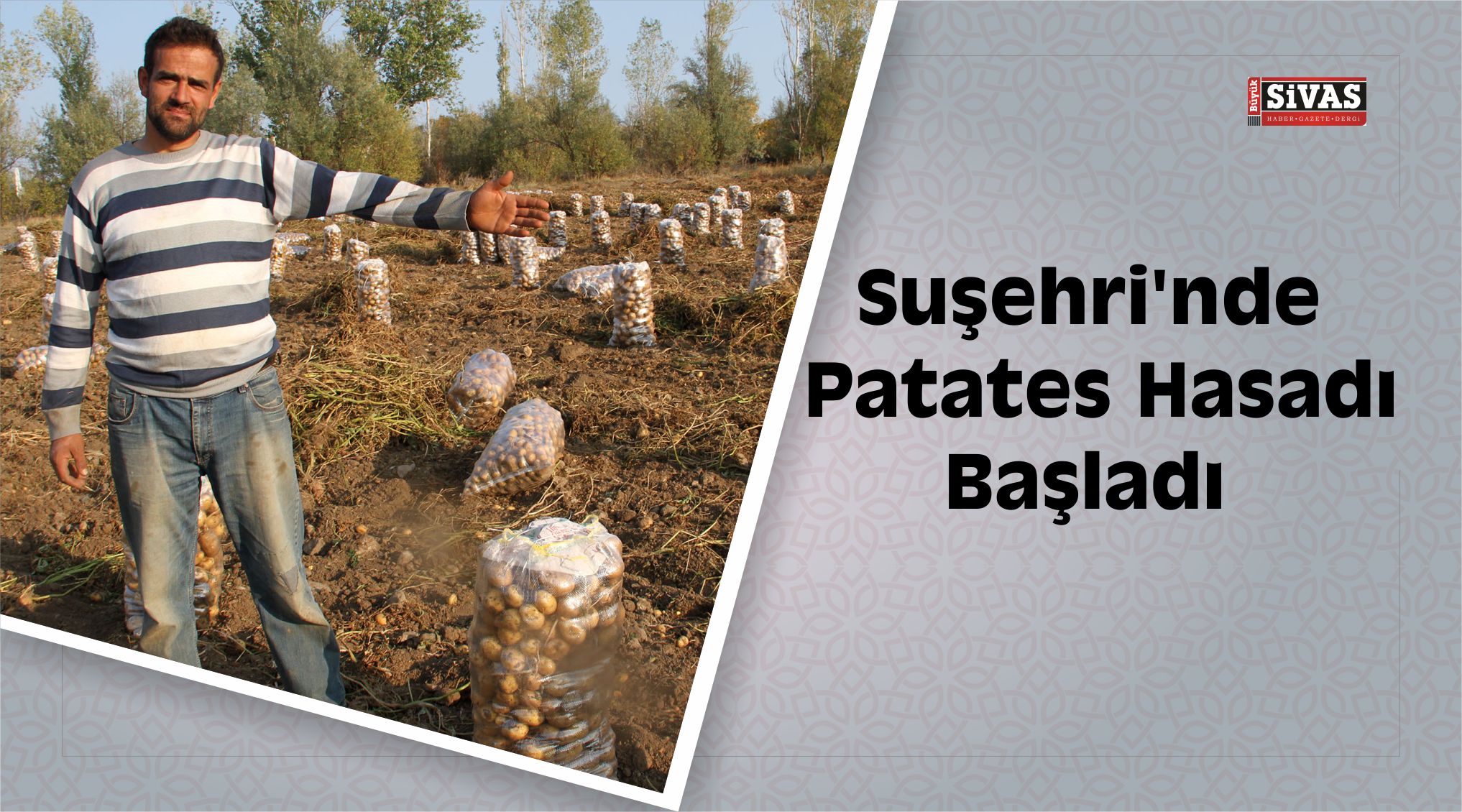 Patates