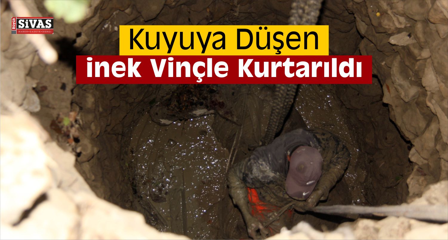 Sivas’ta Kuyuya Düşen İnek Vinçle Kurtarıldı