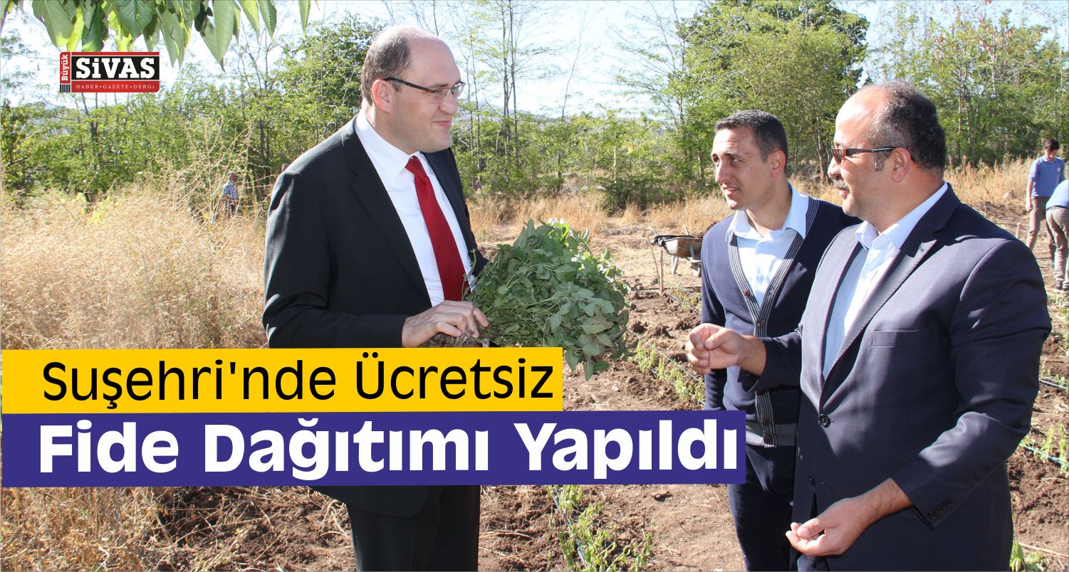 Suşehri’nde Fide Dağıtımı