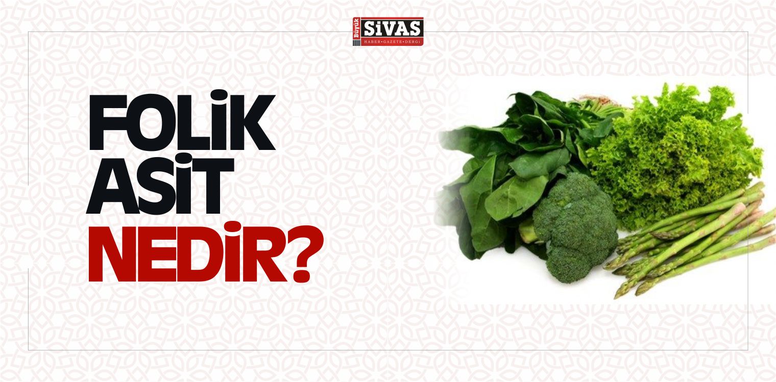 Folik Asit
