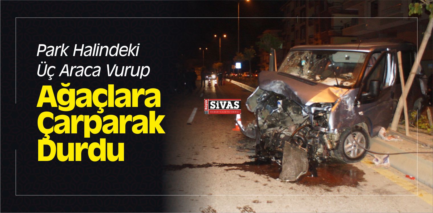Park Halindeki Üç Araca Vurup Ağaçlara Çarparak Durdu
