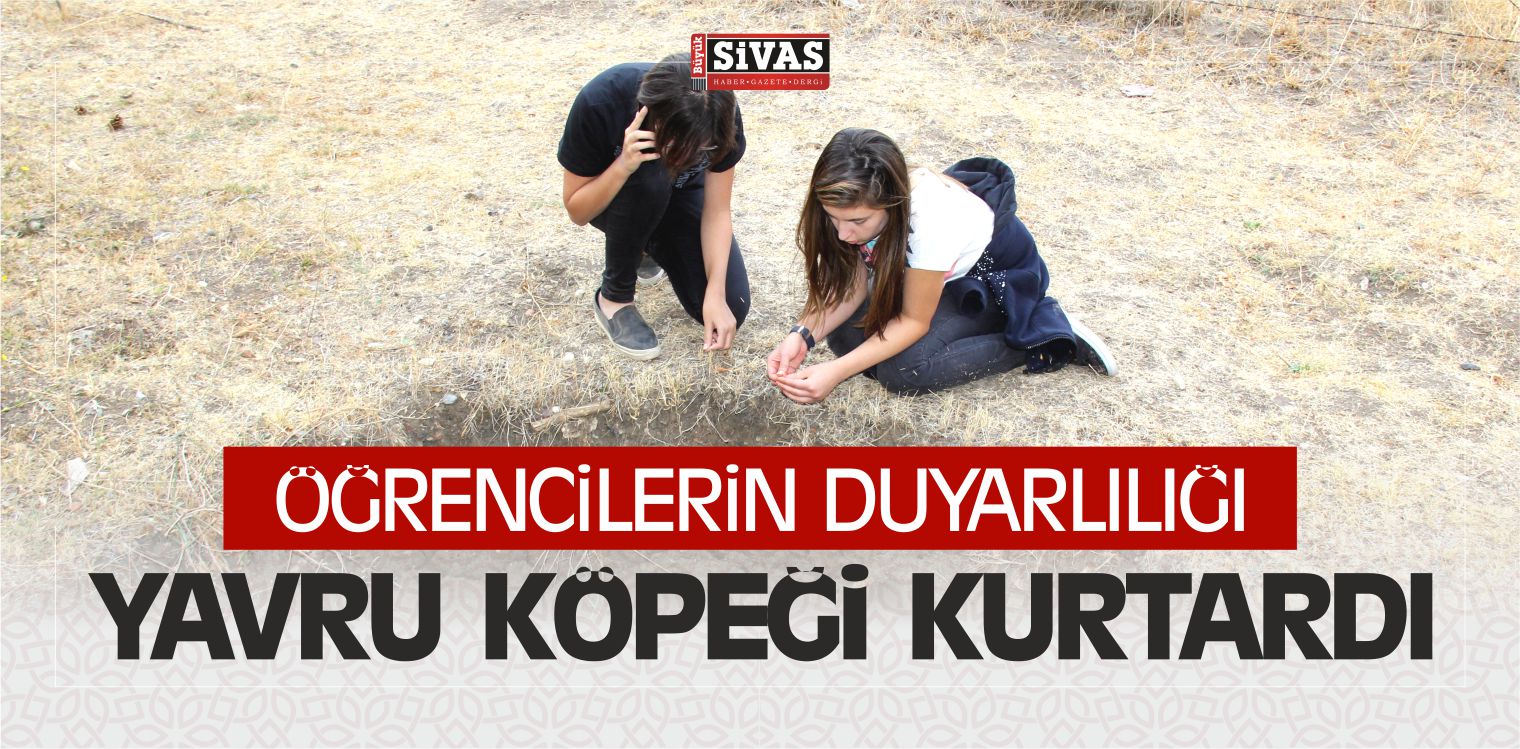 Öğrencilerin Duyarlılığı Yavru Köpeği Kurtardı