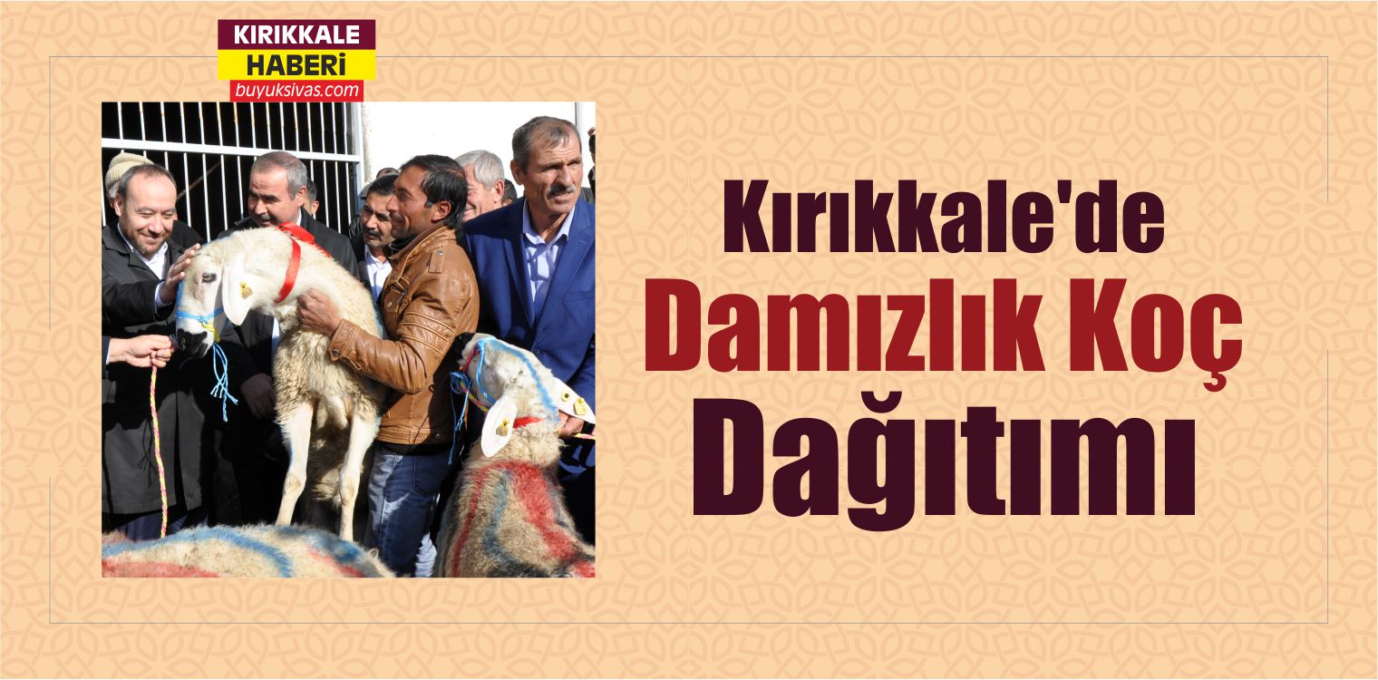 Kırıkkale’de Damızlık Koç Dağıtımı