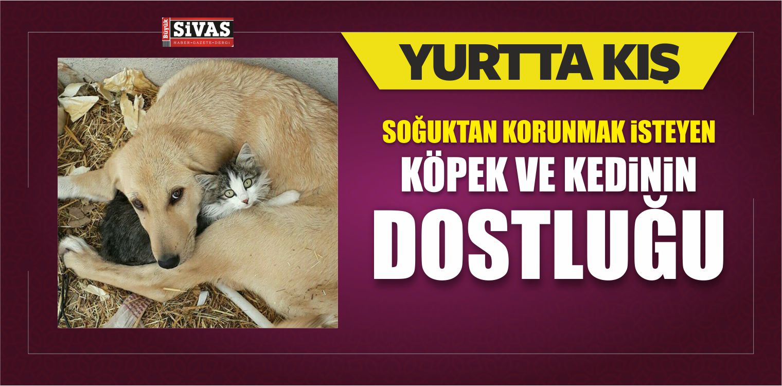 Suşehri’nde Kar Yağışı Hayatı Olumsuz Etkiliyor