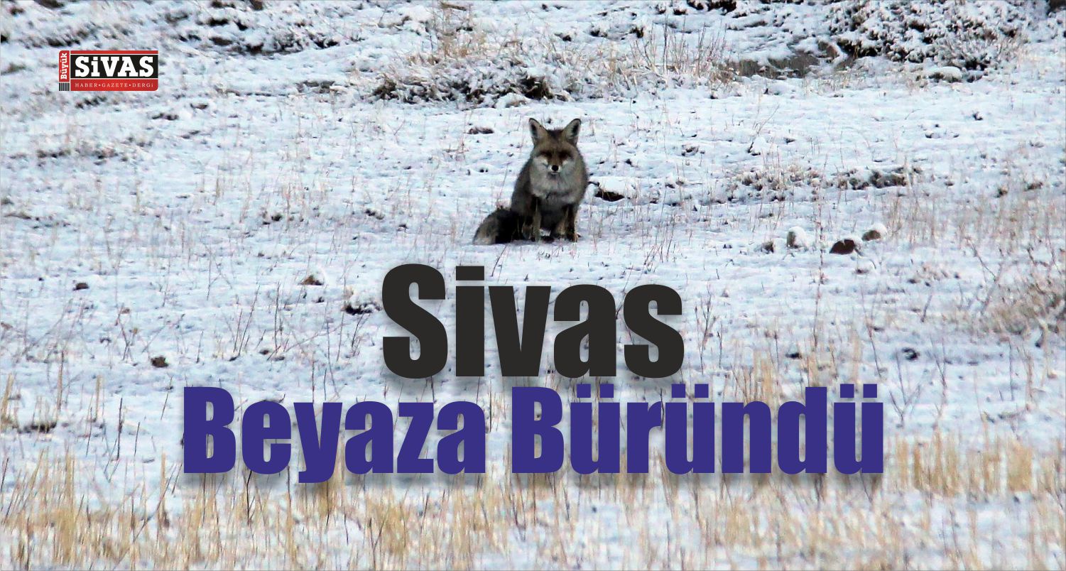 Sivas’ta Kış