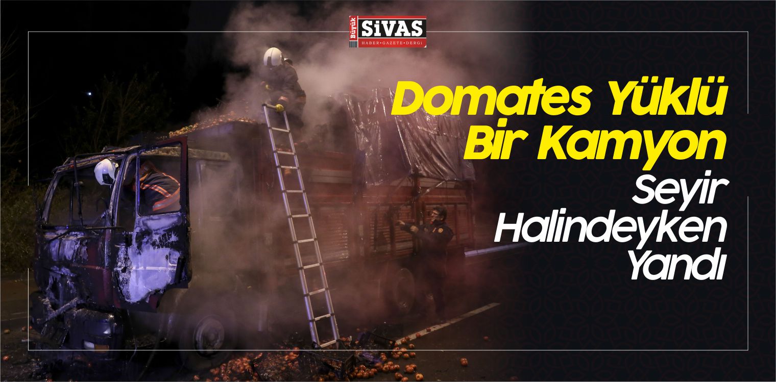 domates yüklü