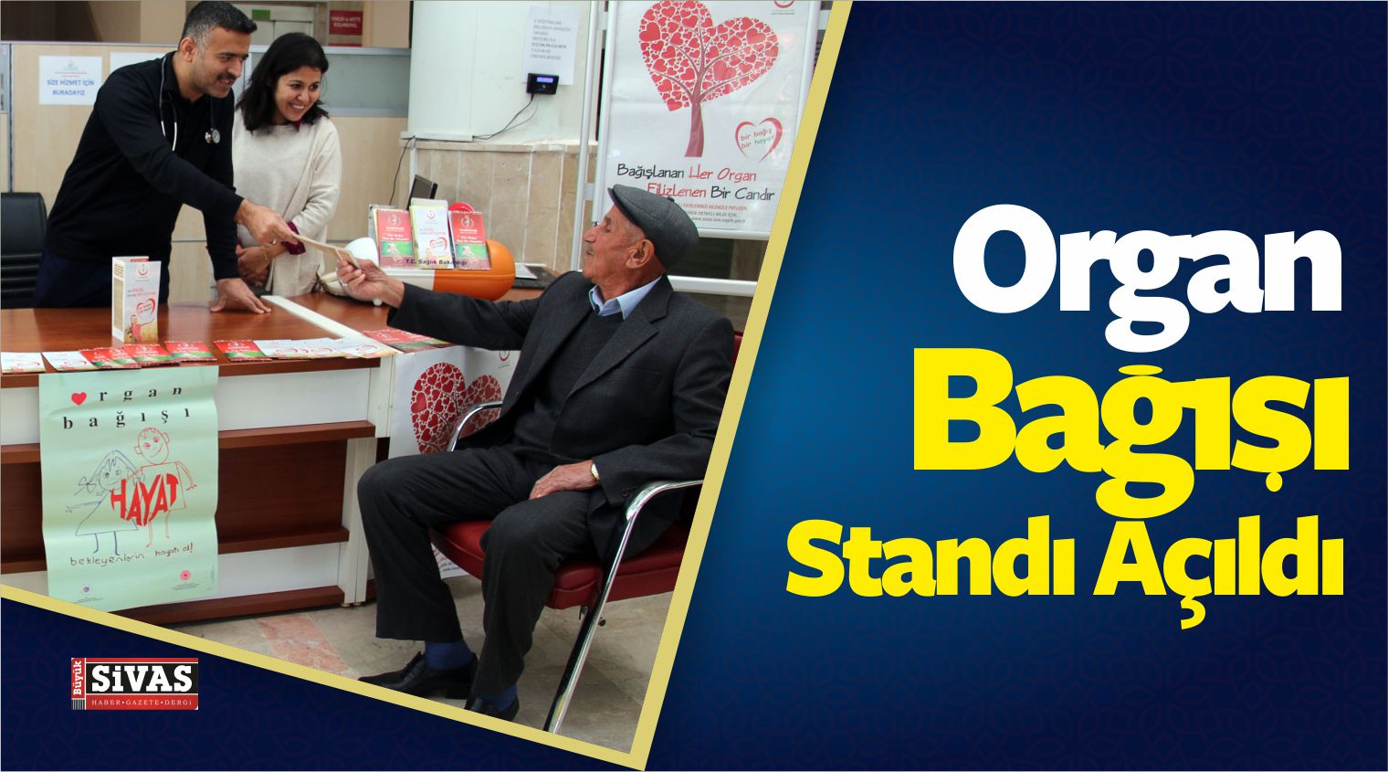 organ bağışı