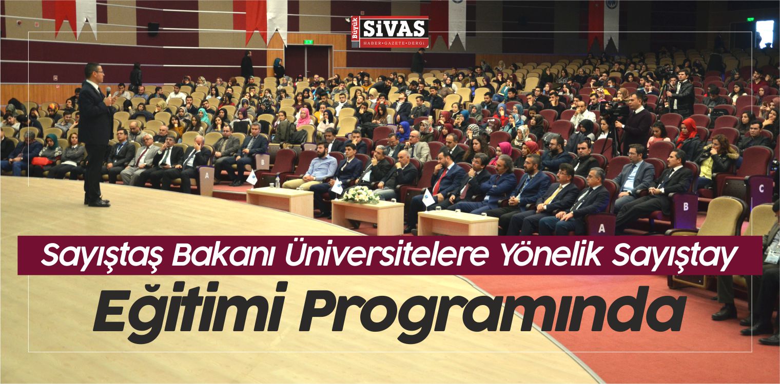 Yönelik Sayıştay