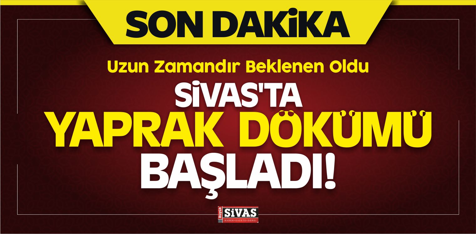 Yaprak Dökümü