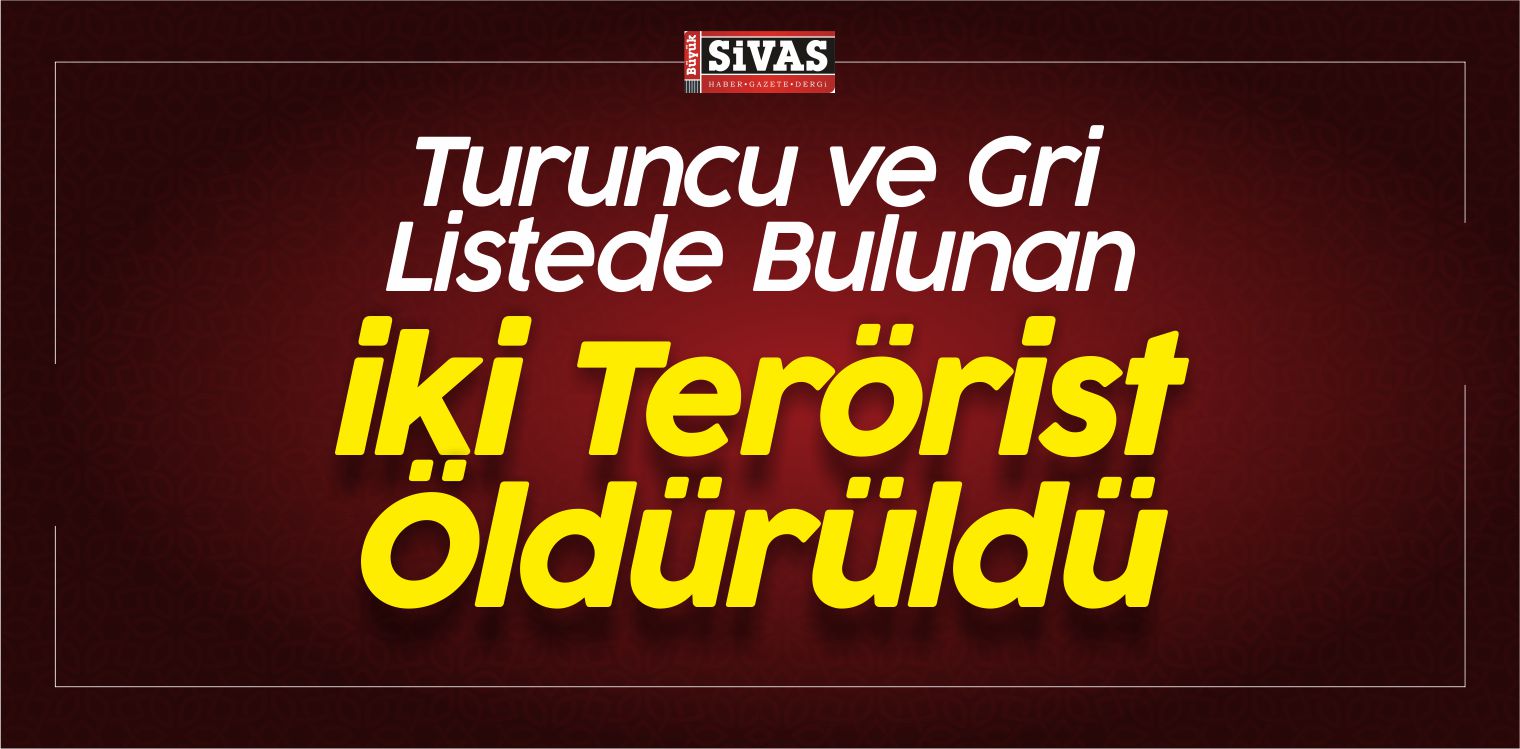 Turuncu ve Gri Listede Bulunan iki Terörist Öldürüldü