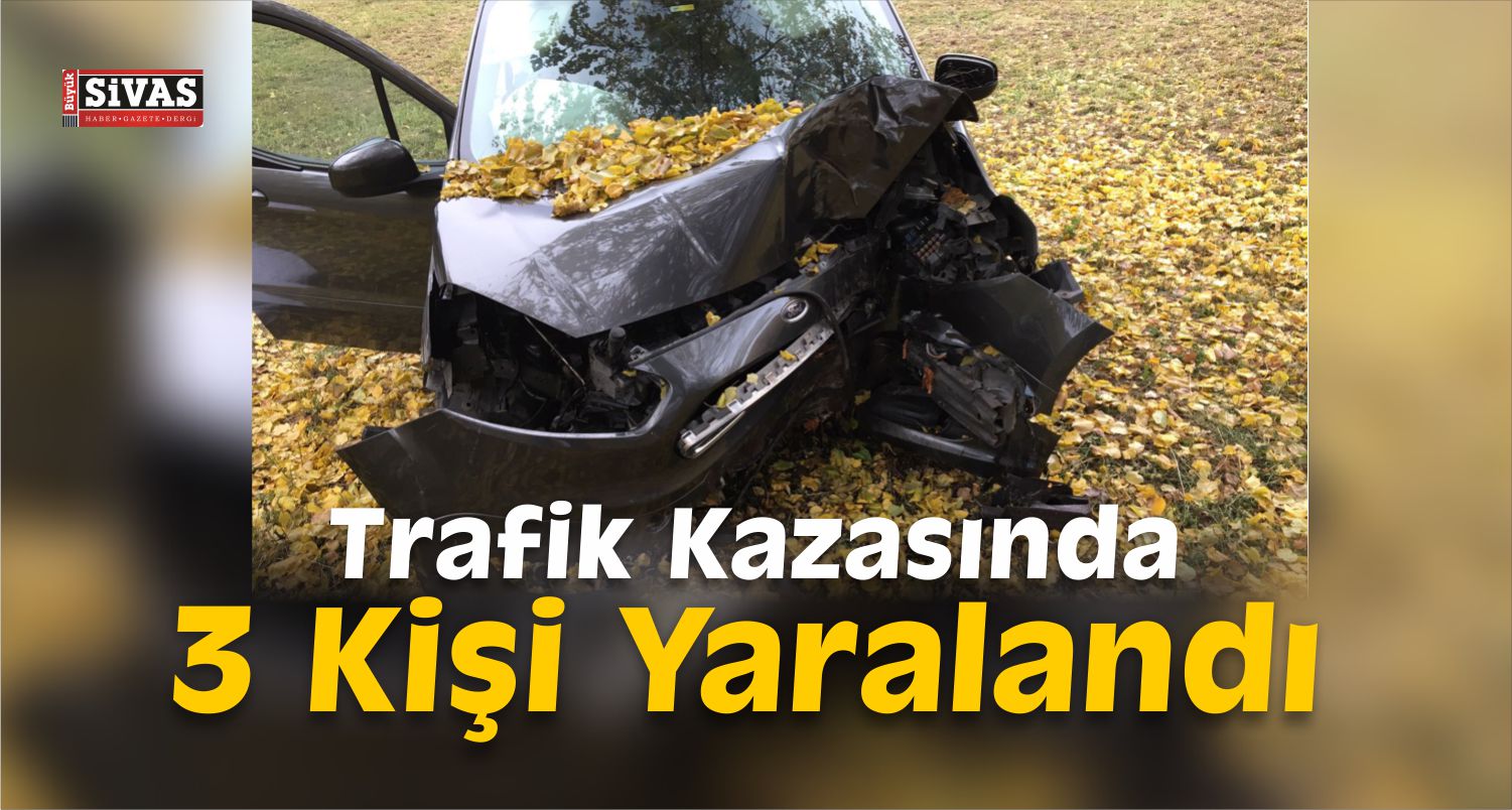 trafik kazası